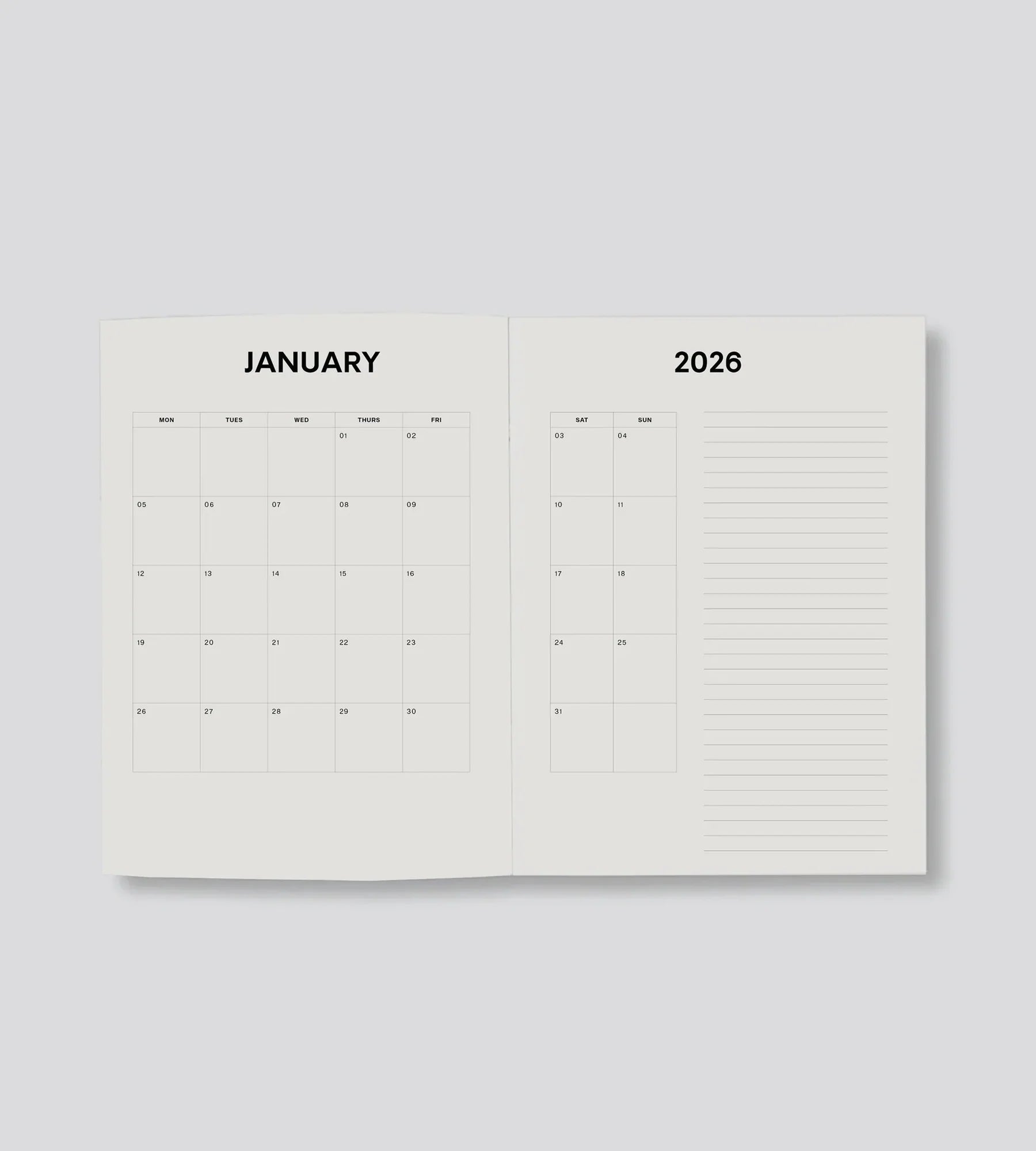 Lettuce | Daily Diary 2026 | Anemones