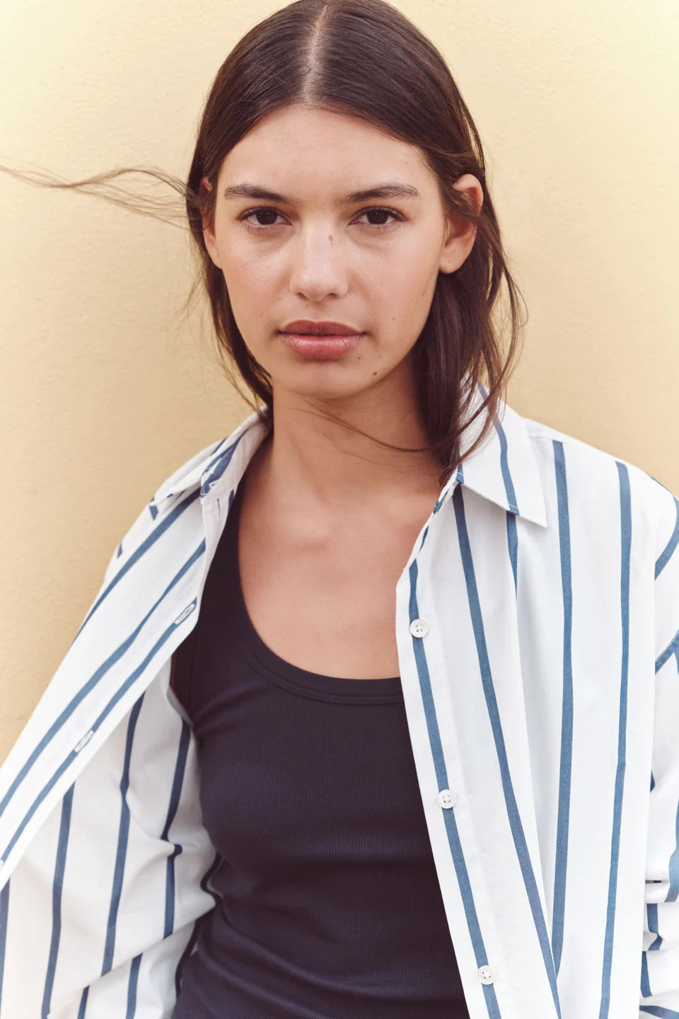 Assembly Label Nara Stripe Long Sleeve Shirt White/True Navy