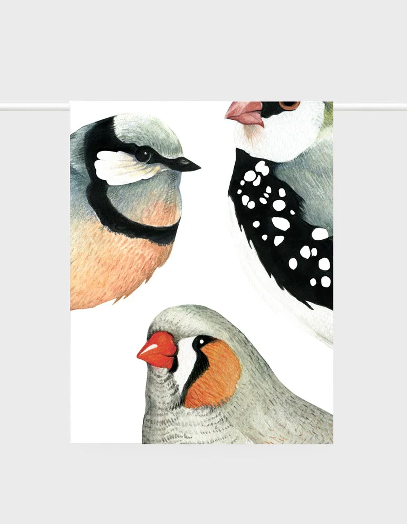 Lettuce Tea Towel Birds