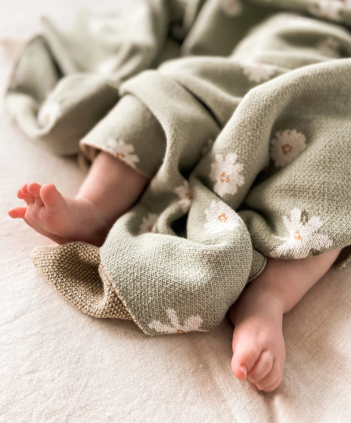 Over The Dandelions Daisy Blanket in Thyme Organic Cotton