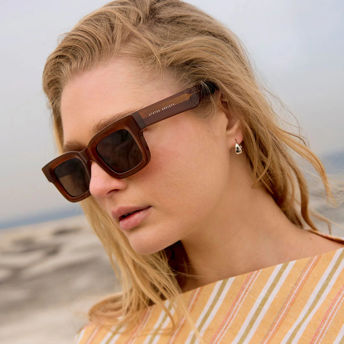 Status Anxiety Disorient Brown Sunglasses