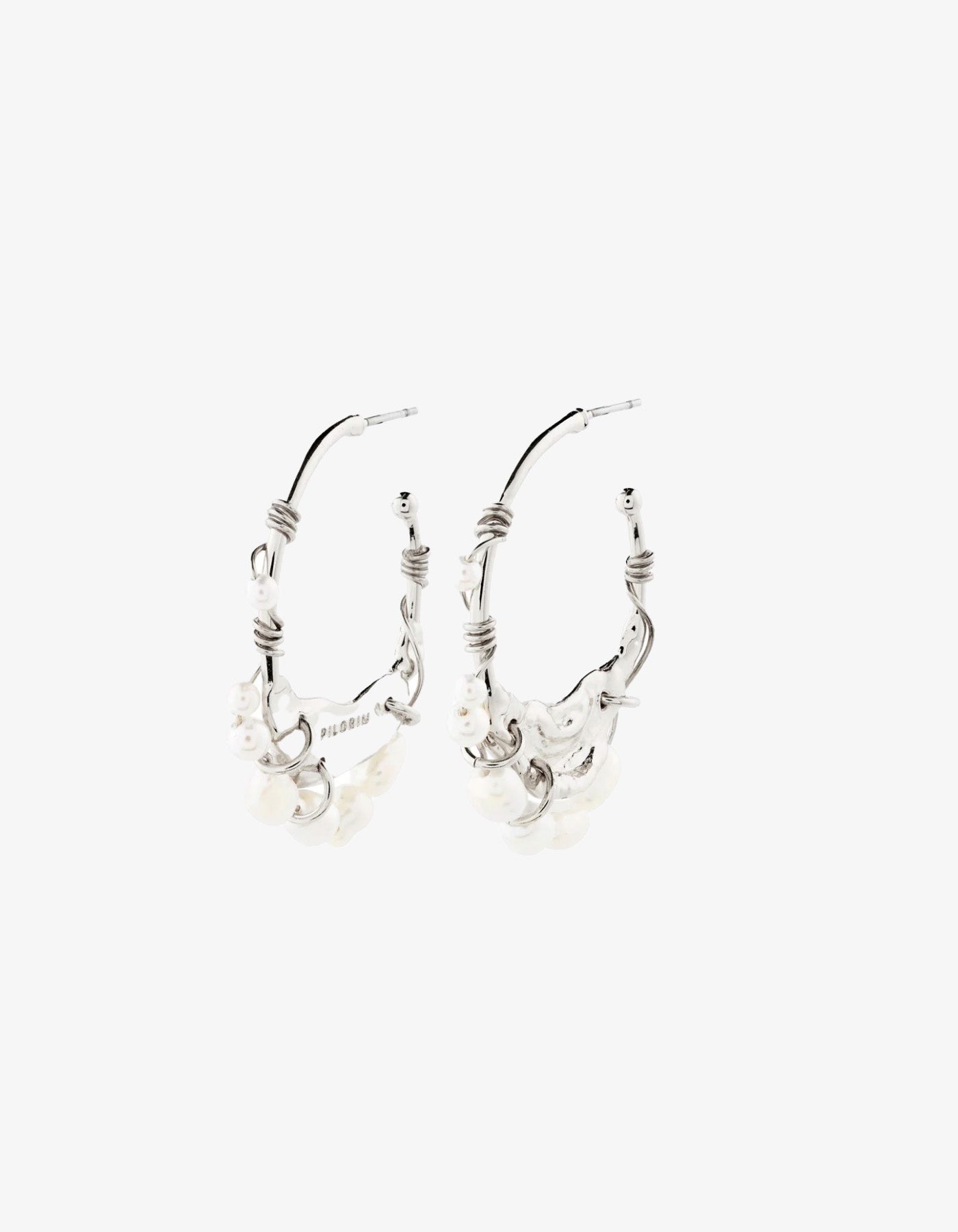 Pilgrim Focus Earrings Silver