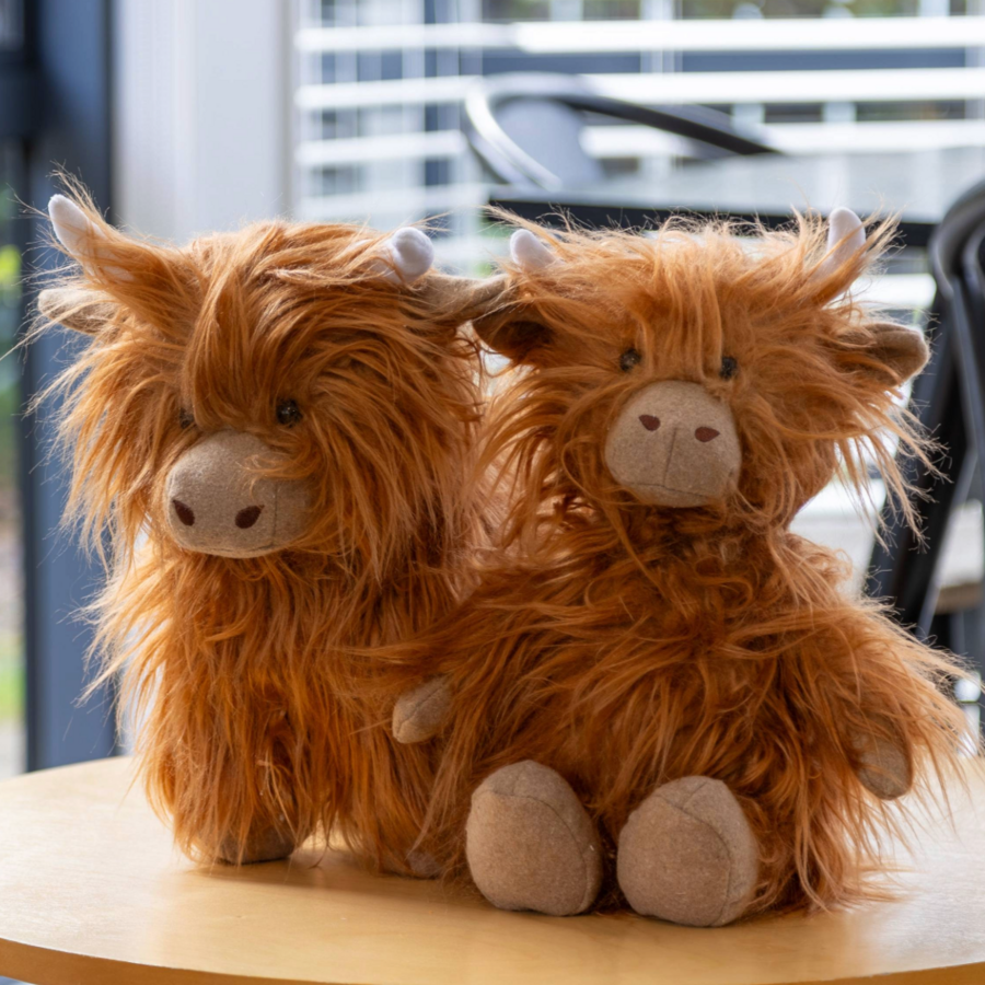 Lily & George Little Mac Highland Cow