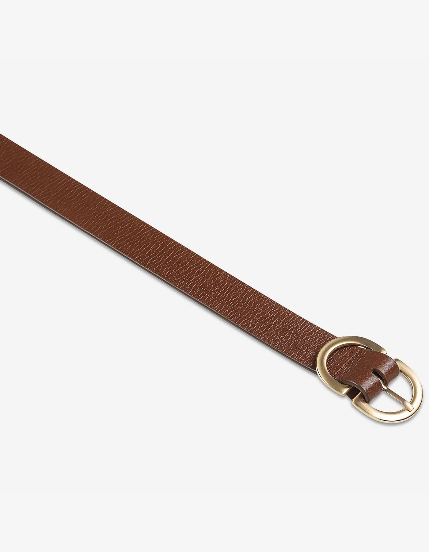 Status Anxiety In Reverse Belt Tan/Gold