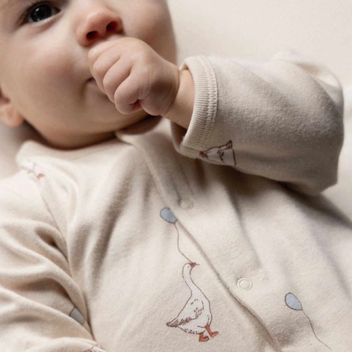 Nature Baby Stretch & Grow Goose Lullaby Print