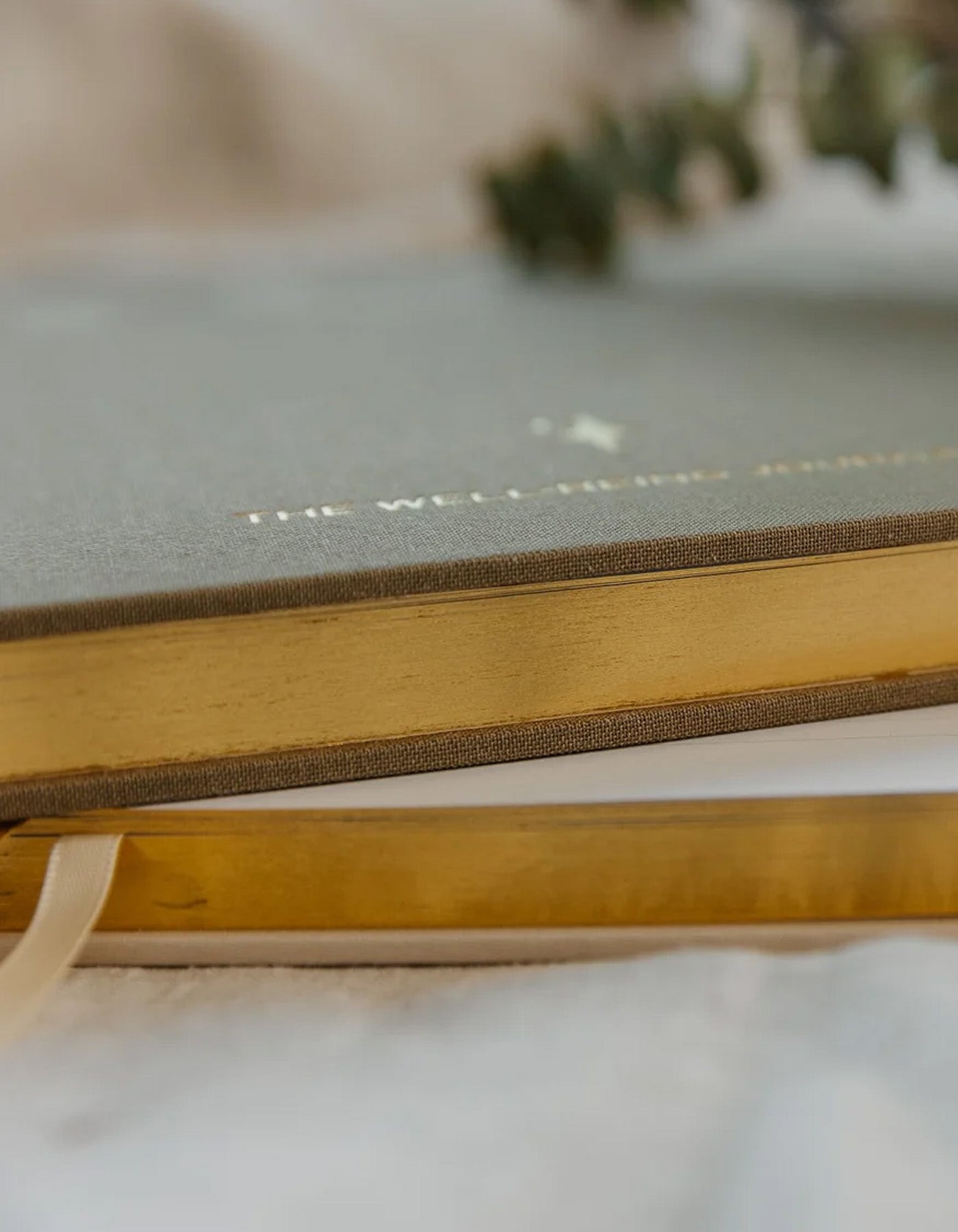 Olive & Page You Well-being Journal Sage