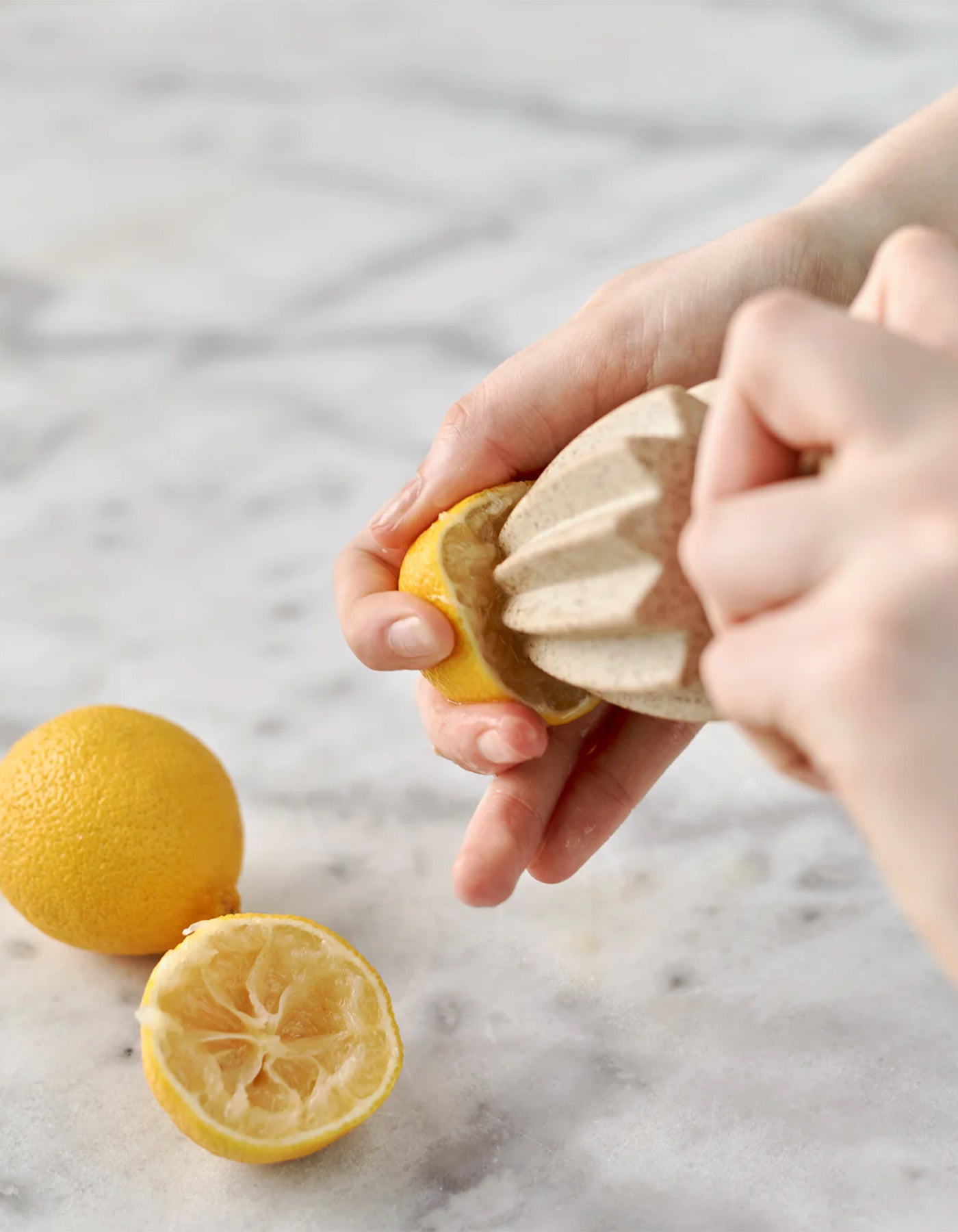 Robert Gordon Hand Juicer
