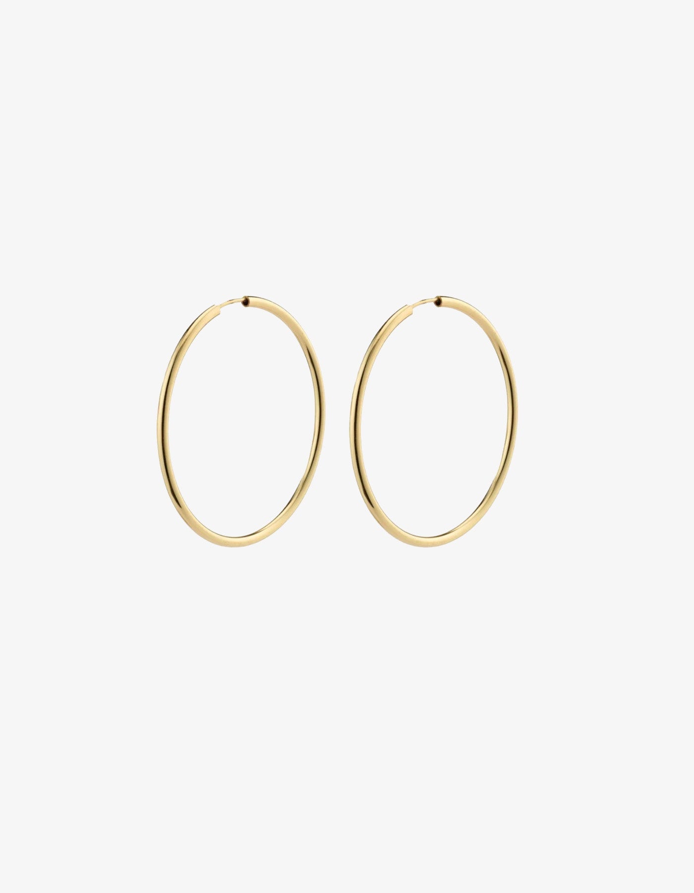 Pilgrim April Gold Hoop Earrings