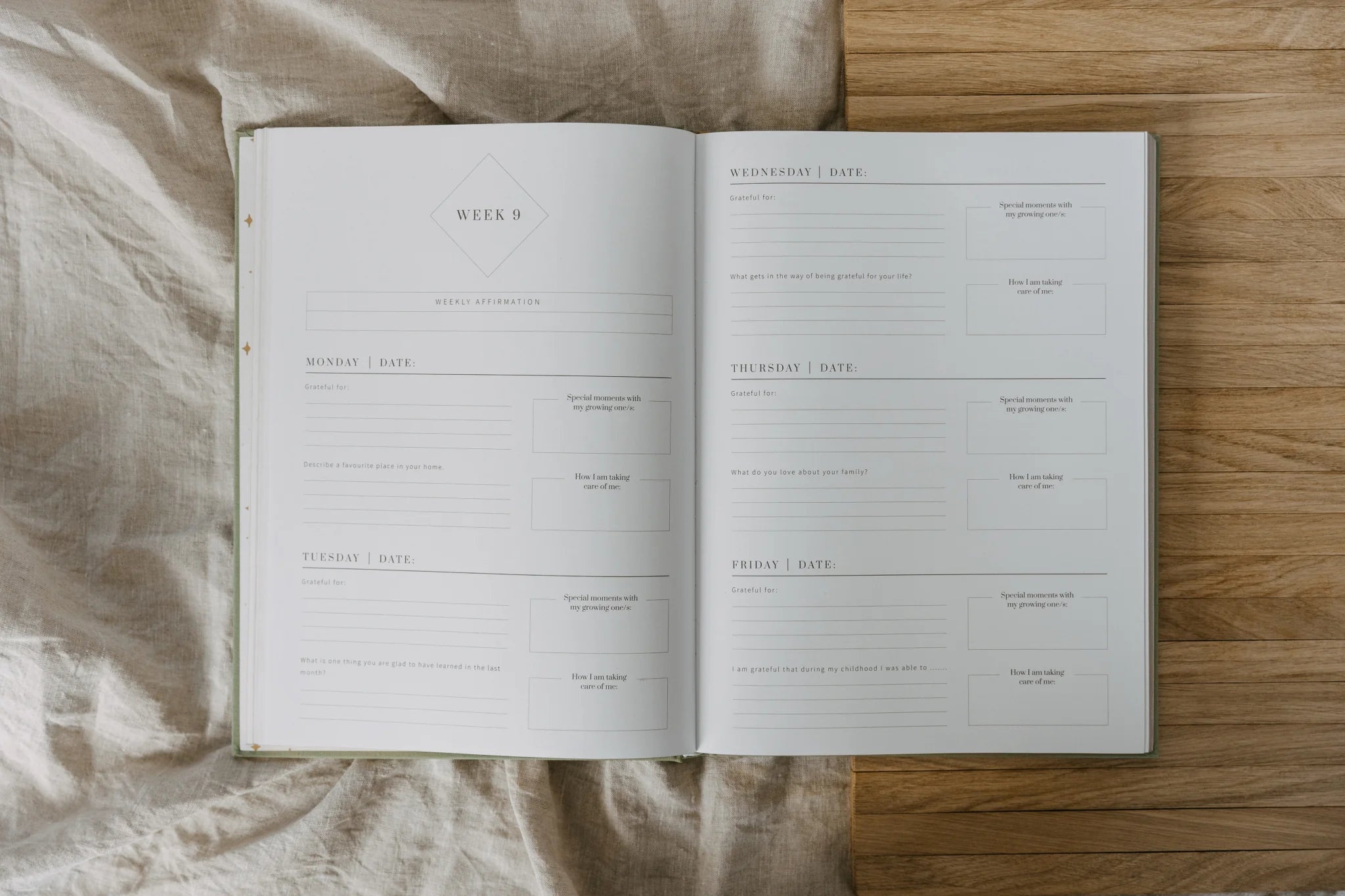 Olive & Page The Joy Journal - for mothers -Blush