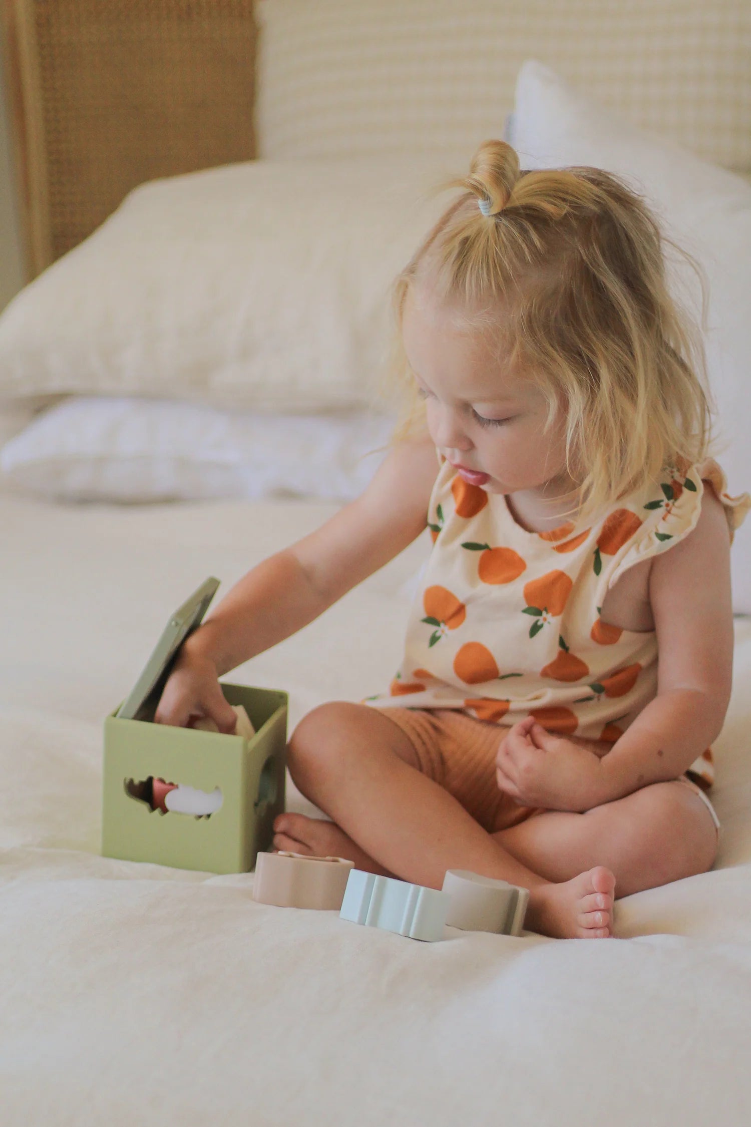 Over The Dandelions silicone sorting box/ animals