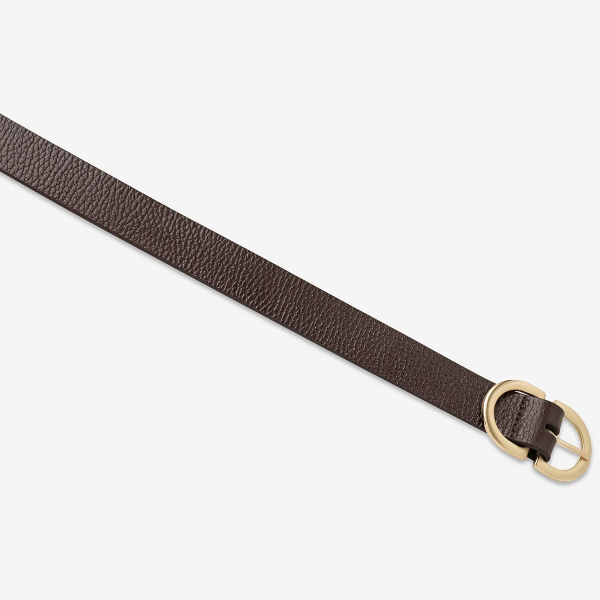 Status Anxiety In Reverse Belt Choc/Gold