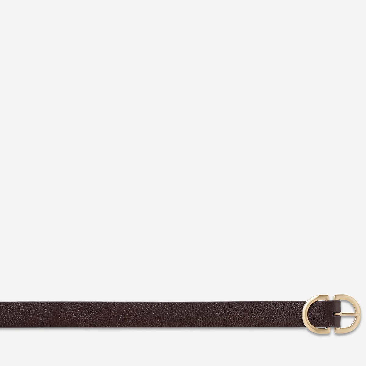 Status Anxiety In Reverse Belt Choc/Gold
