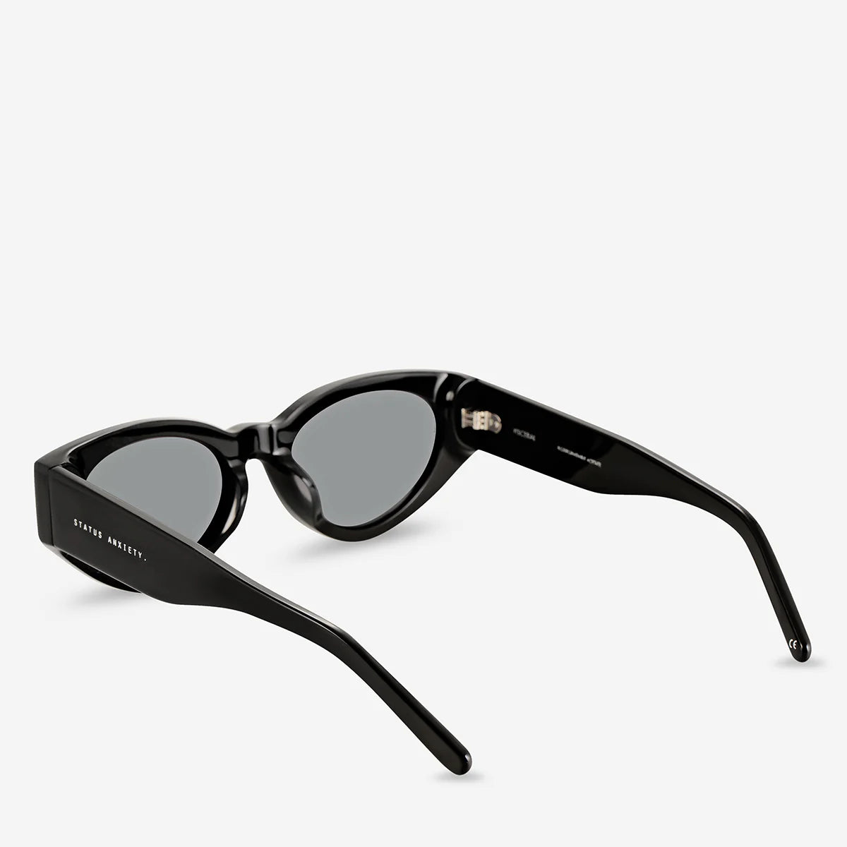 Status Anxiety Visceral Black Sunglasses