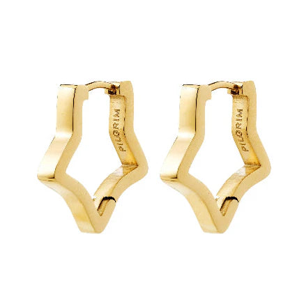 Pilgrim Solari Earrings Gold